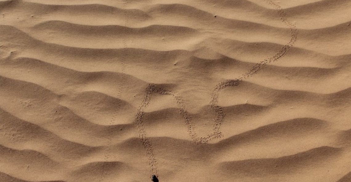5 Giorni in Marocco: Marrakesh e Deserto del Sahara