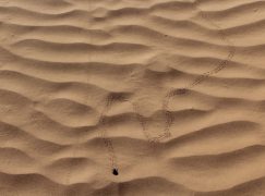 5 Giorni in Marocco: Marrakesh e Deserto del Sahara