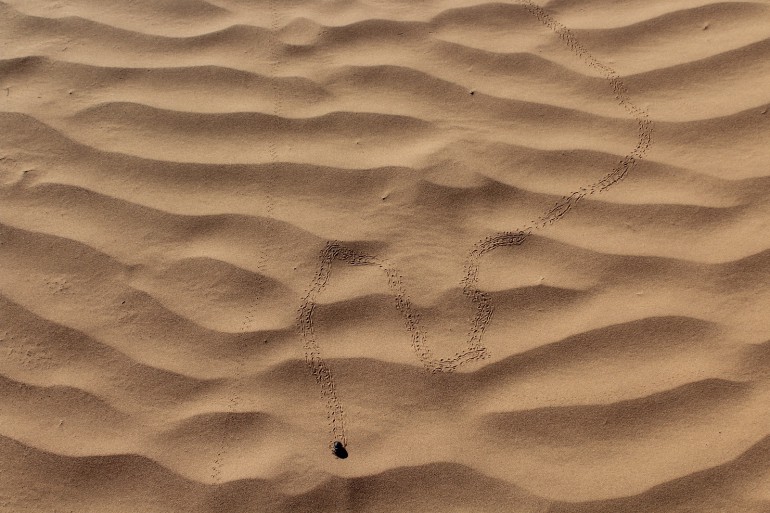 5 Giorni in Marocco: Marrakesh e Deserto del Sahara